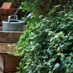 Garden 3* Киото